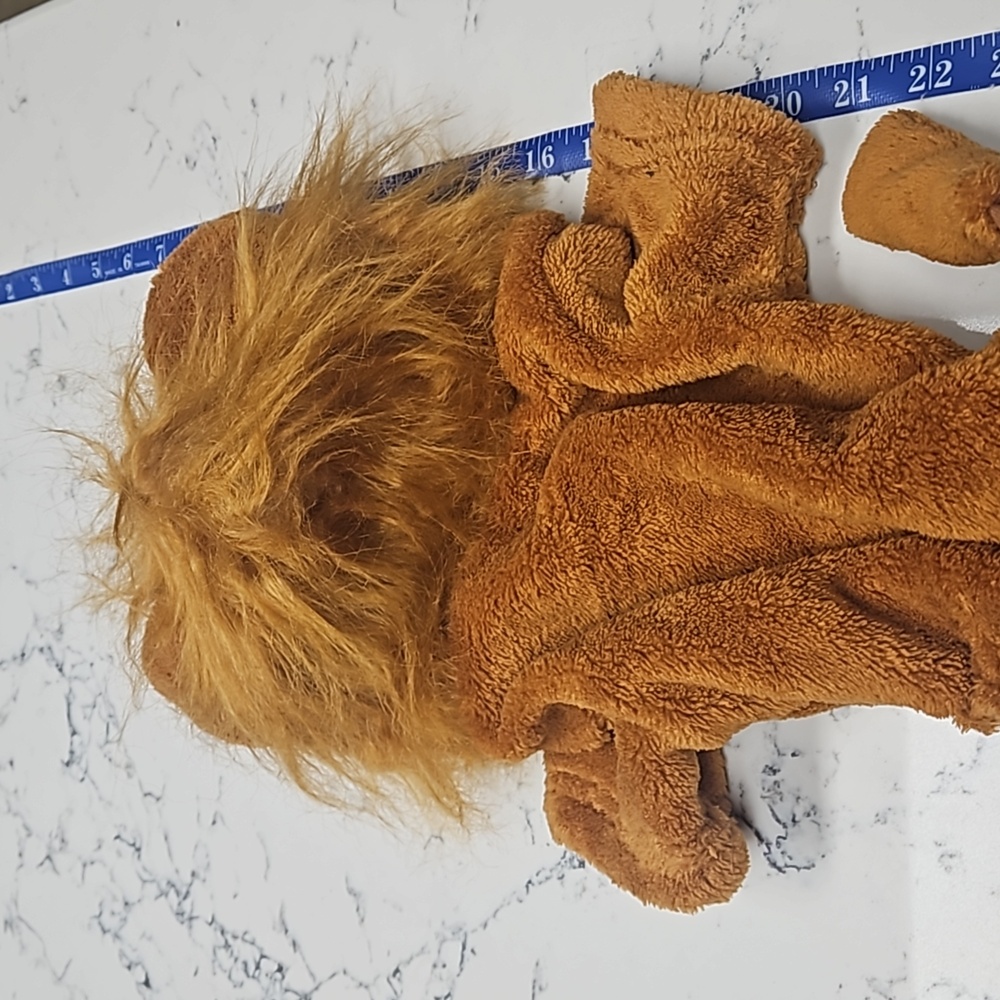 Dog Lion Costume - Picture 3 of 6